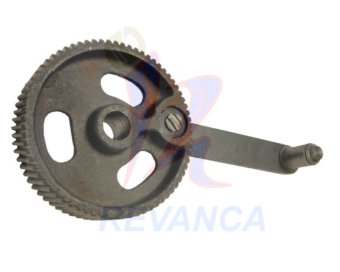 CATALINA C/ BIELA DELFIN