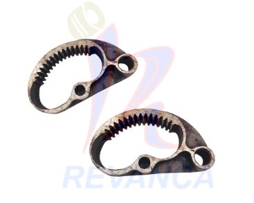 SEGMENTO DELFIN TUBA GRUESO