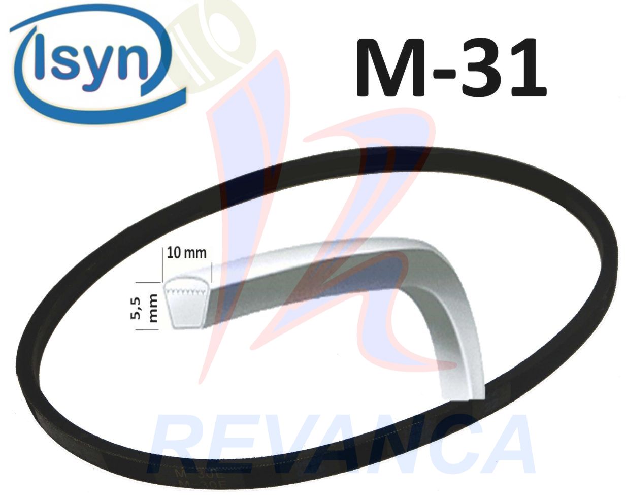 CORREA M-31 REGINA P006  ISYN